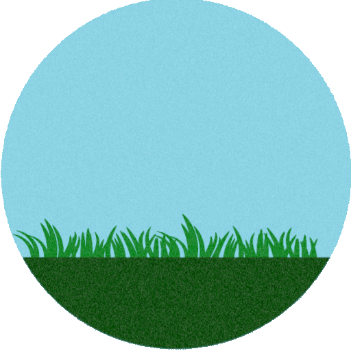 Healthy Growing Plant